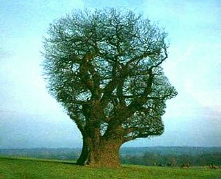 20221-Abordaje en Salud Mental, Bienestar y Espiritualidad