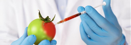 20221-Biotecnología y Mejoramiento Genético de Frutales